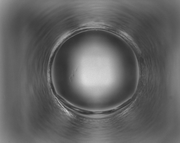 X0000057561188200509231151