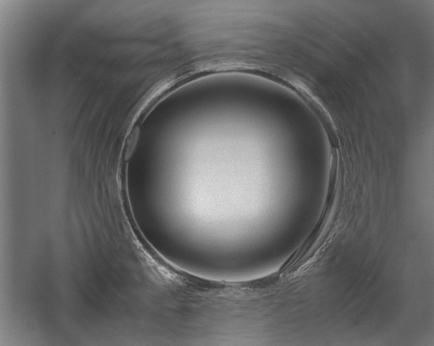 X0000057561189200509231151