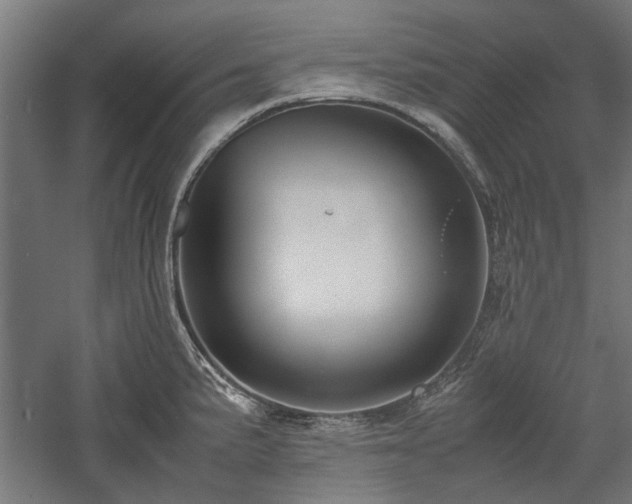 X0000057561191200509231151