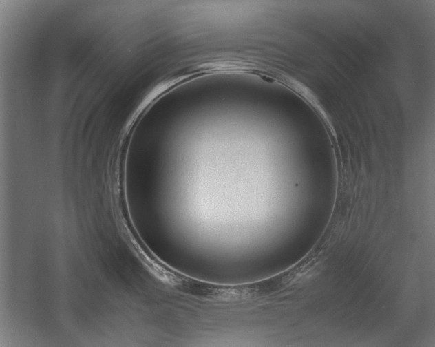 X0000057561195200509231151
