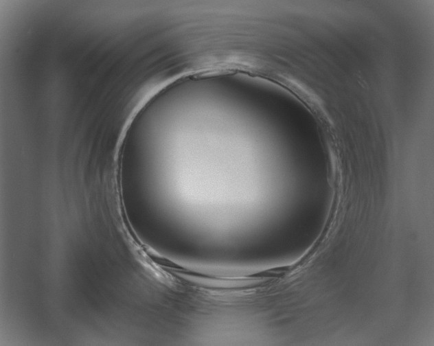X0000057561200200509231151