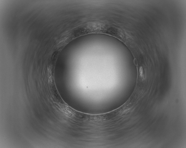 X0000057561203200509231150