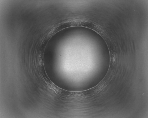 X0000057561204200509231150