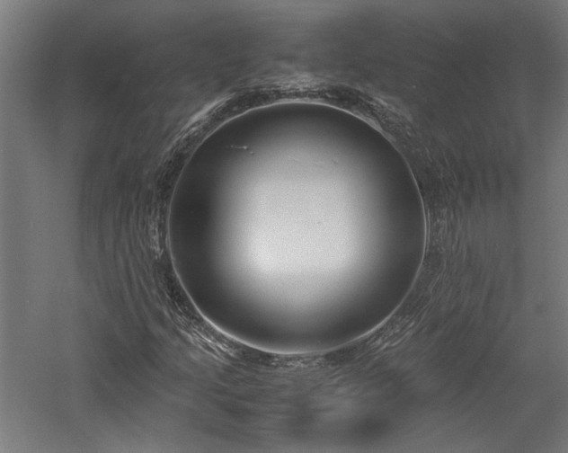 X0000057561205200509231150