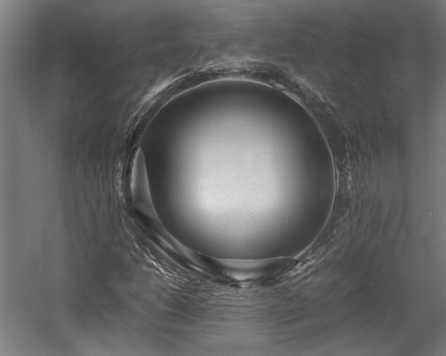 X0000057561206200509231150