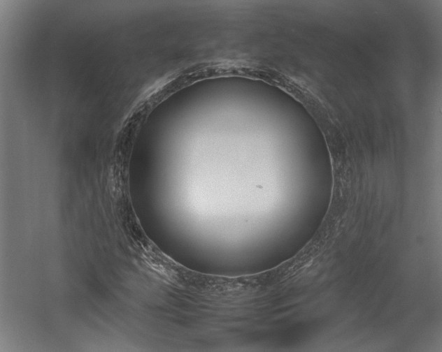 X0000057561207200509231150