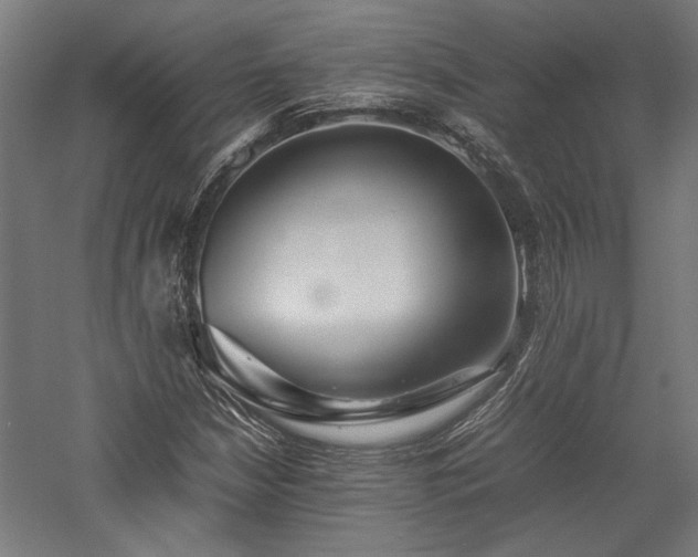 X0000057561210200509231150