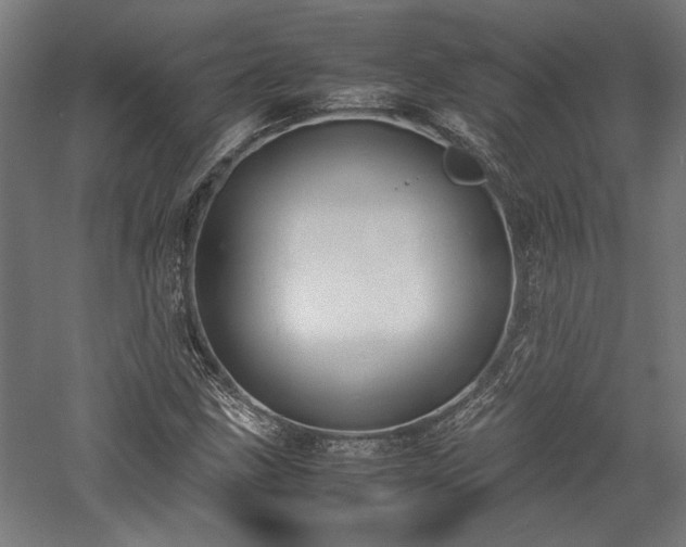 X0000057561211200509231150