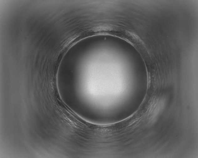 X0000057561217200509231150