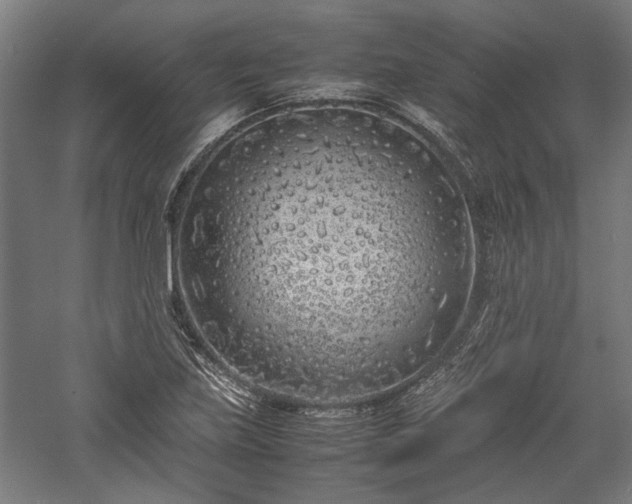 X0000057561219200509231150