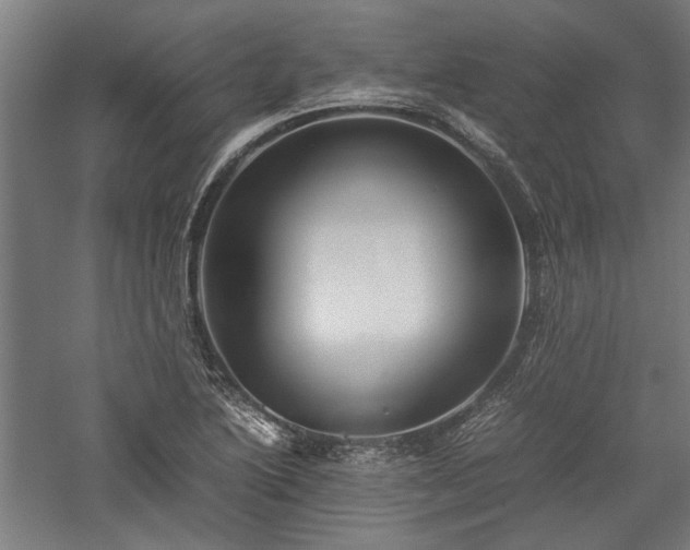 X0000057561222200509231150