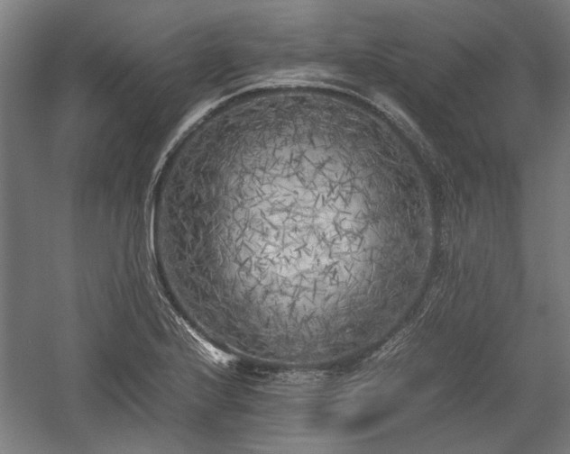 X0000057561224200509231150