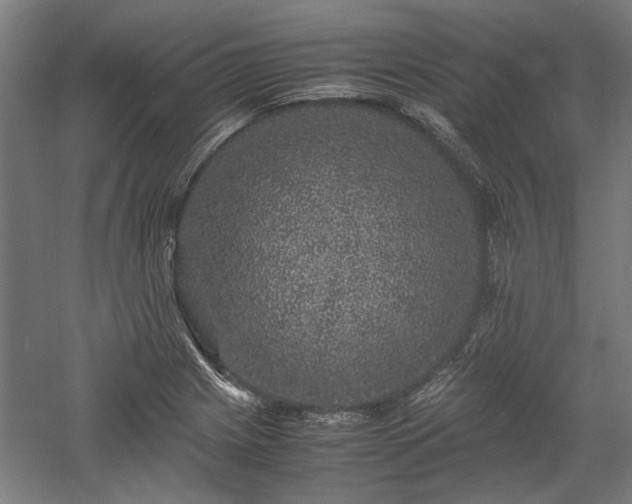X0000057561225200509231150