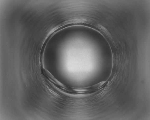 X0000057561226200509231151