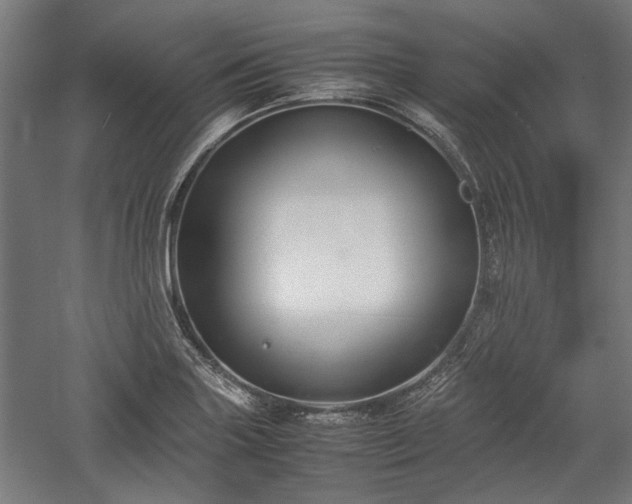 X0000057561227200509231151