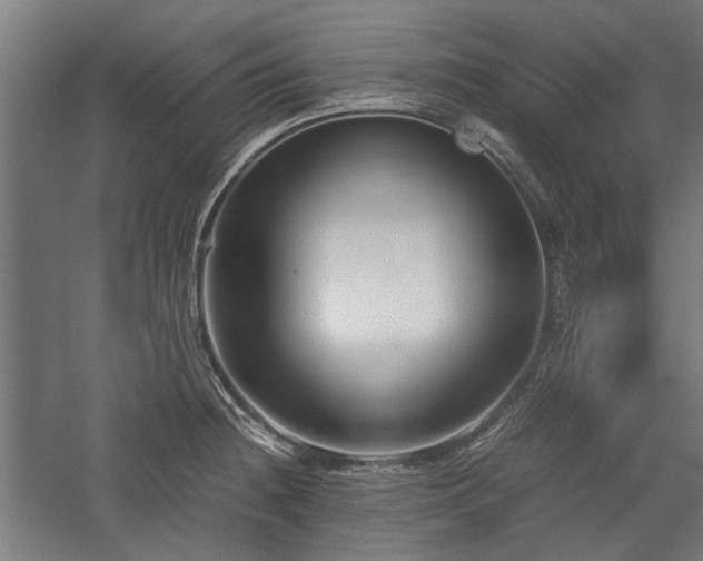 X0000057561236200509231151