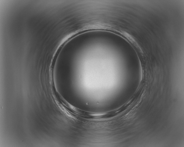 X0000057561238200509231151