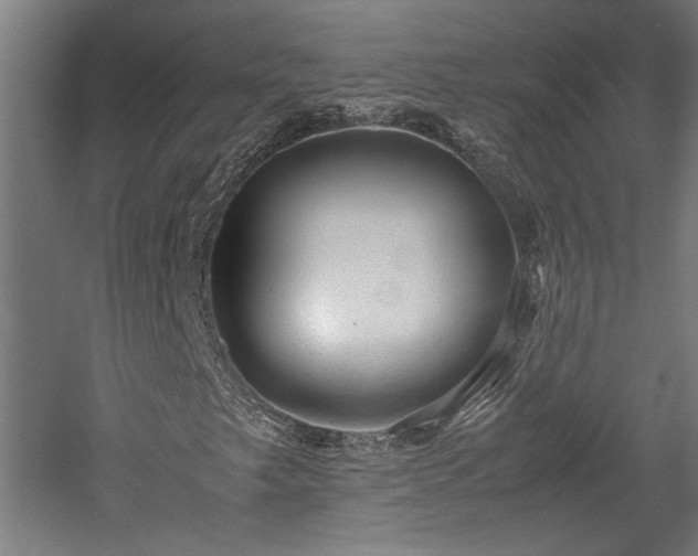 X0000057561249200509231150