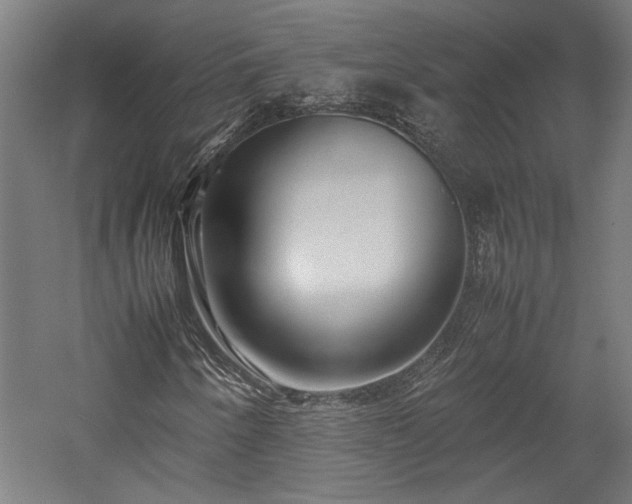 X0000057561250200509231150