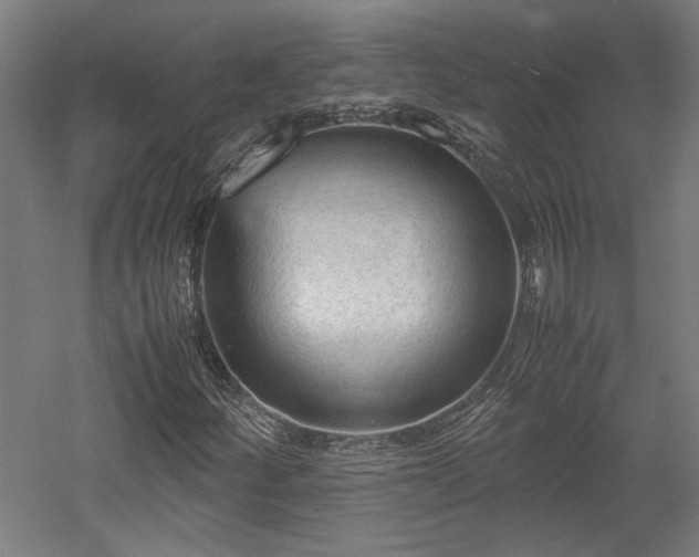 X0000057561252200509231150