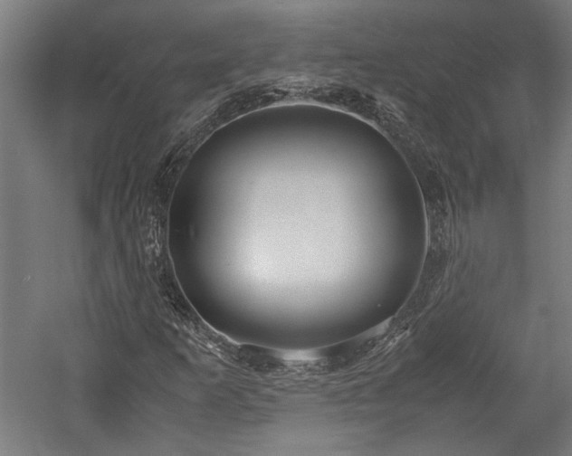 X0000057561253200509231150