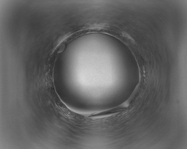 X0000057561256200509231150