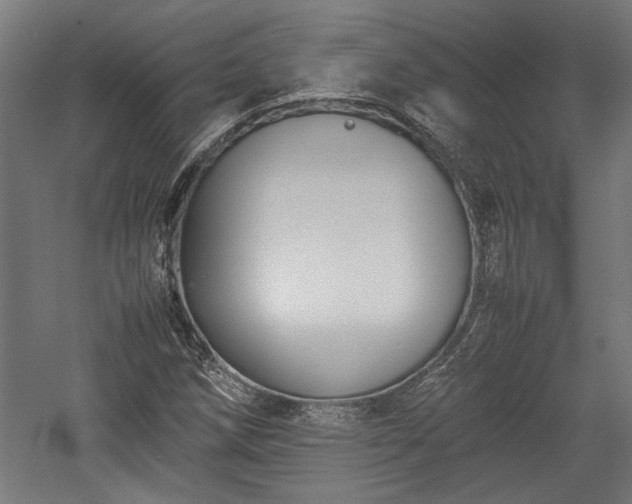 X0000057561258200509231150