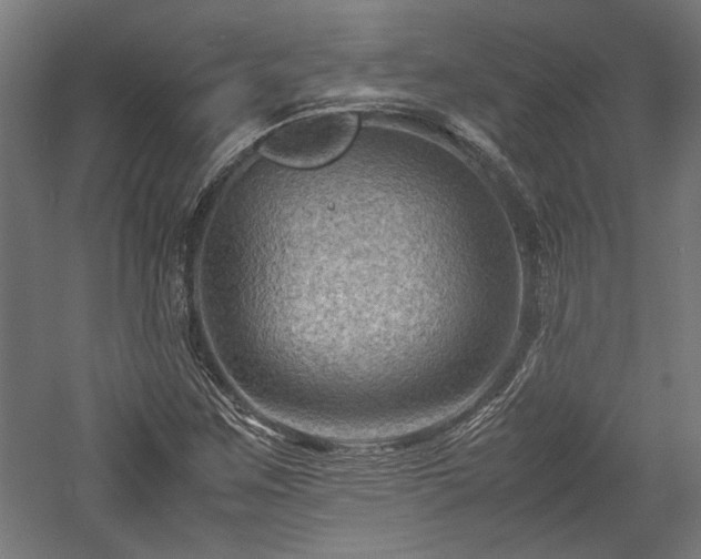X0000057561259200509231150