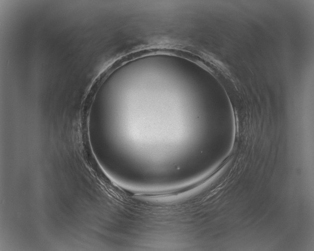 X0000057561264200509231150