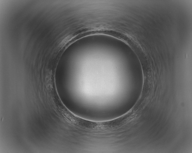 X0000057561265200509231150