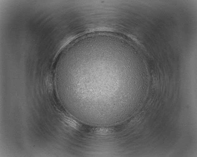 X0000057561266200509231150