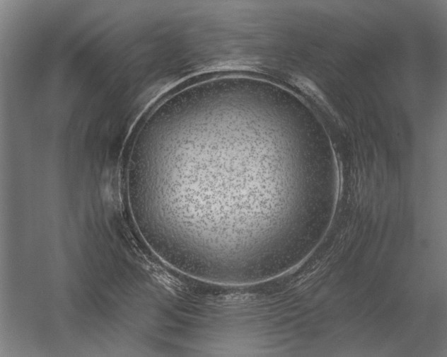 X0000057561268200509231150