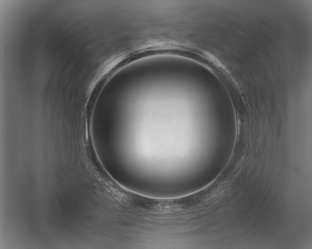 X0000057561269200509231150