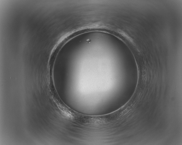 X0000057561270200509231150