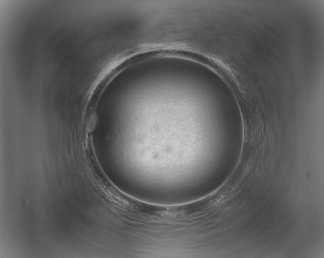 X0000057561271200509231150