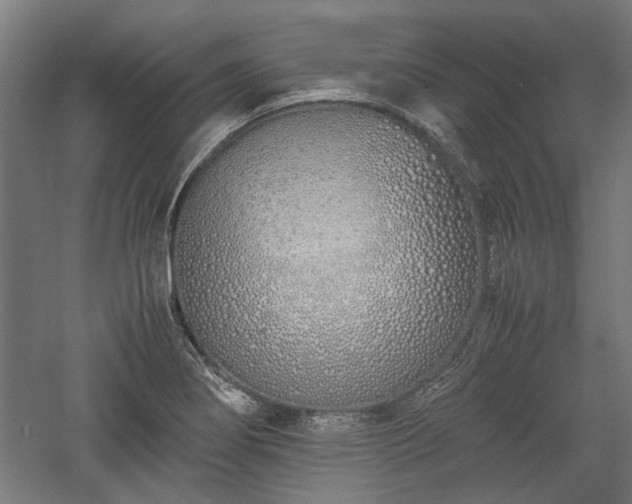 X0000057561274200509231150
