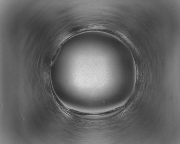 X0000057561281200509231150