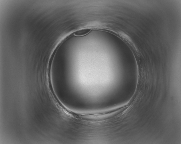 X0000057561288200509231149