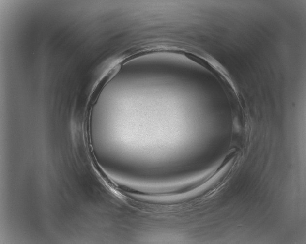X0000057561293200509231149