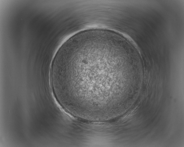 X0000057561295200509231149