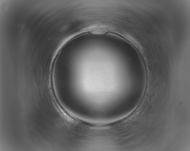 X0000057561296200509231149