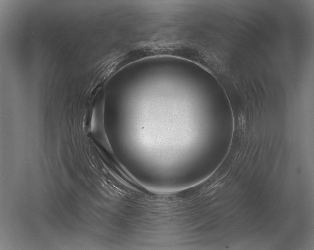 X0000057561300200509231149