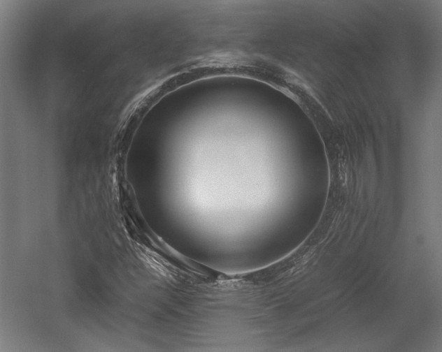 X0000057561304200509231149