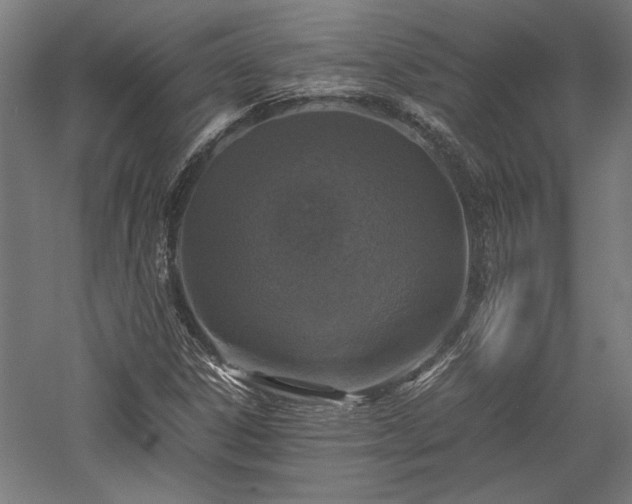 X0000057561306200509231149