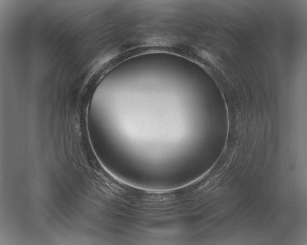 X0000057561307200509231149