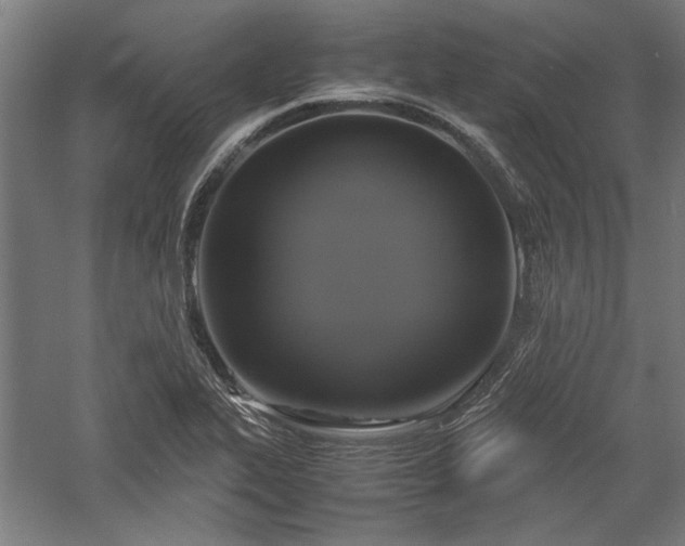 X0000057561319200509231149