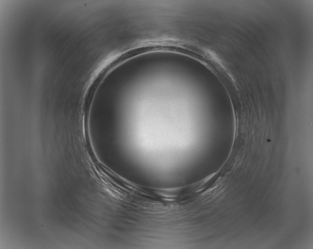 X0000057561320200509231149