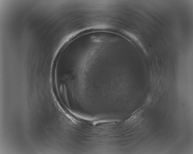 X0000057561327200509231149