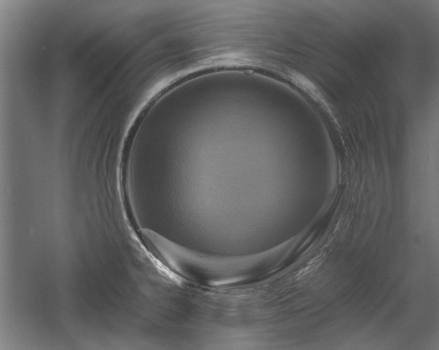 X0000057561334200509231149