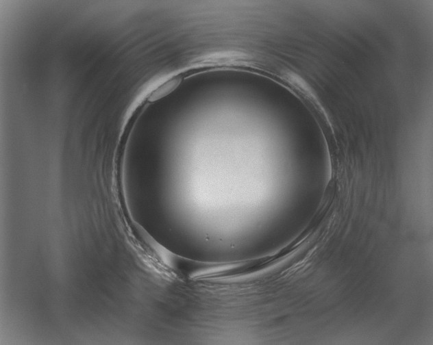 X0000057561336200509231149
